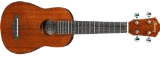 Ukulele